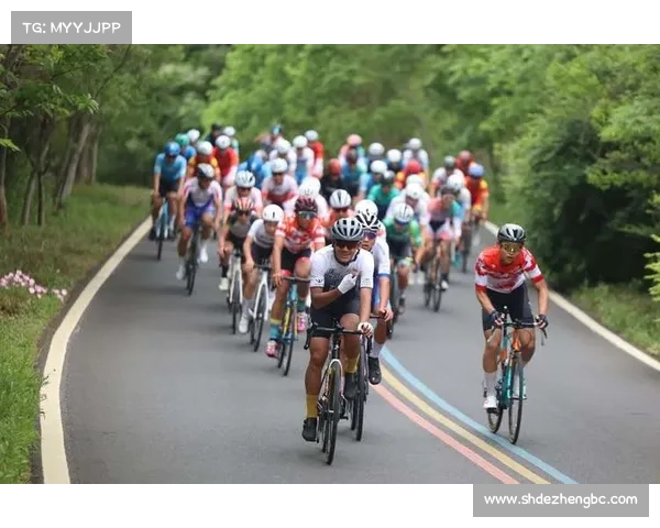 青少年骑行风暴：点燃梦想的自行车赛事盛典